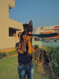 a man holding a german shepherd puppy in front of a house